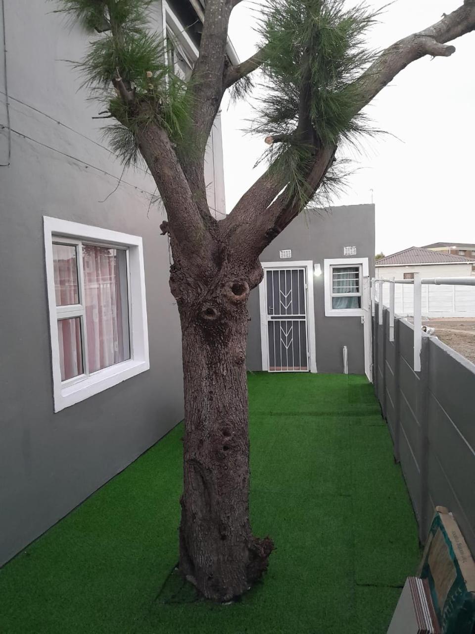 Brooklyn Queens And Kings Guesthouse Cape Town Exterior photo